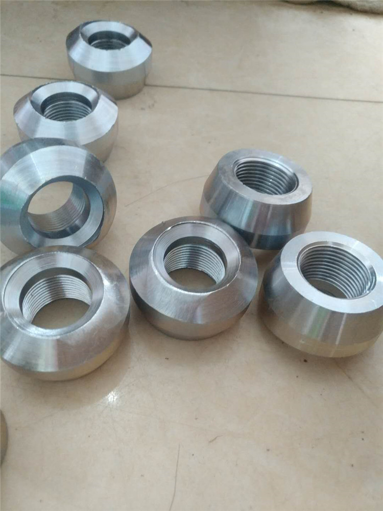 stainless steel threaded olet