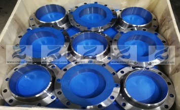 SS316L 對(duì)焊法蘭(WN Flange)