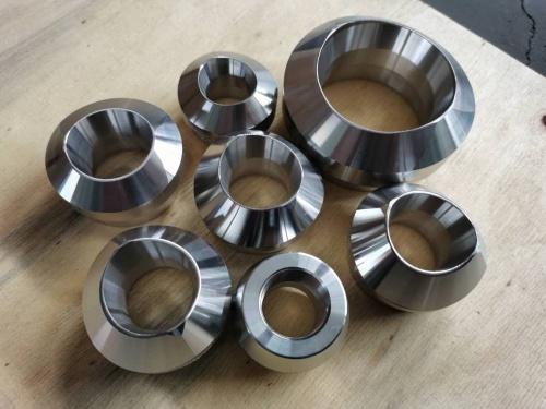 stainless steel weldolet