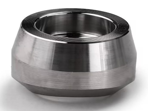 stainless steel socket olet