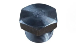 SA105-3000-Threaded-NPT-Plugs-.jpg