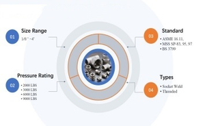 ASTM Forged Fittings_副本.jpg