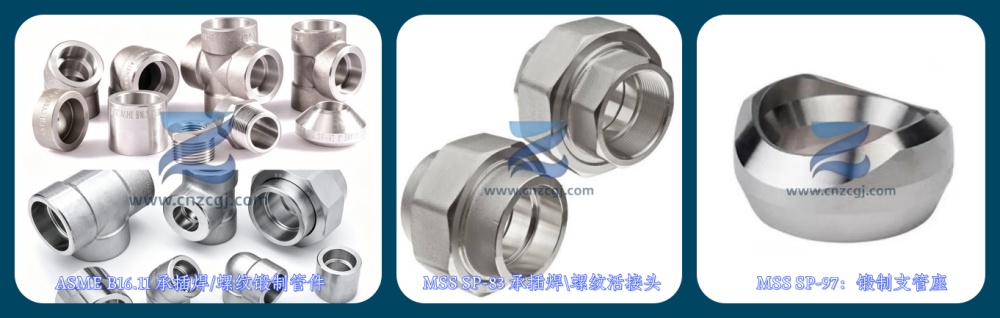 ASME B16.11 MSS SP-83/97 双相不锈钢锻制管件