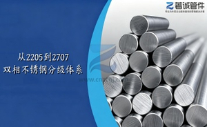 双相不锈钢 DUPLEX STAINLESS STEEL 355-218.jpg